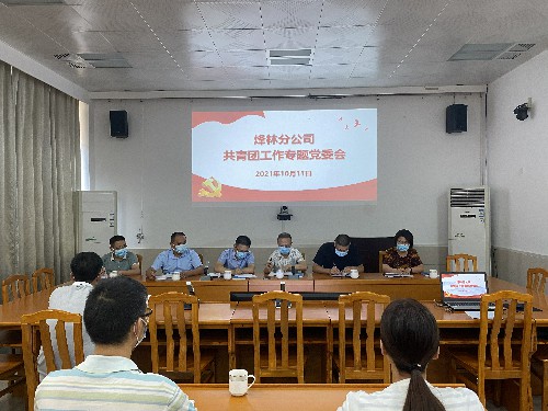 烽林連珂瑩：共青團(tuán)工作專題黨委會~1.jpg