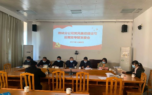 烽林林美玲：黨風廉政建設(shè)專題黨委會~1.jpg