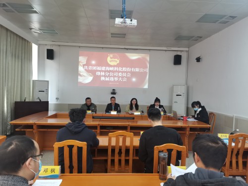 格式工廠烽林連珂瑩：海峽科化烽林分公司團(tuán)委換屆選舉大會(huì)勝利召開(kāi)（會(huì)議現(xiàn)場(chǎng)）.jpg